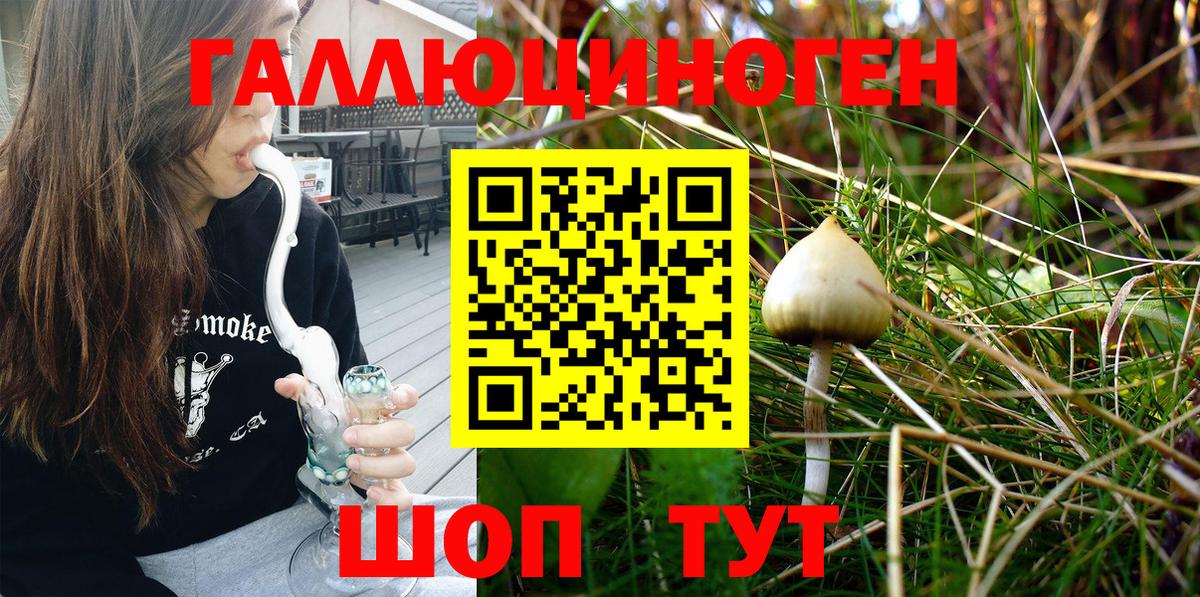 Псилоцибиновые грибы Cubensis Михайловка